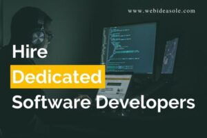 Hire Dedicated Software Developers